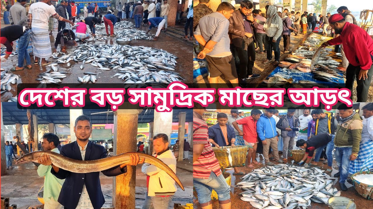 সামুদ্রিক মাছের বিশাল আরৎ কক্সবাজার ফিশারি ঘাট।Coxbazar fish Market @Manikganjprotidin