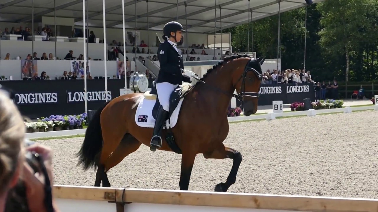 Casablanca at CH-M-D YH Final for 5 year old horses