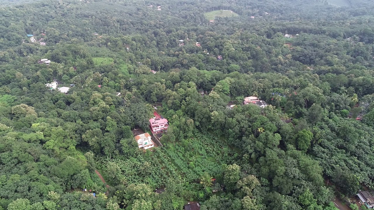 Beauty of Kerala - Aerial drone shot