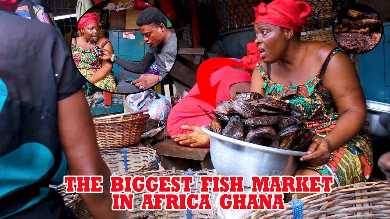 The biggest fish Market in #AFRICA GHANA
