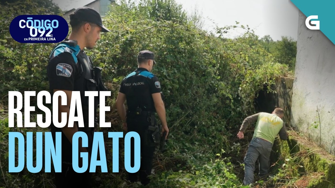 RESCATE dun GATO | CÓDIGO 092