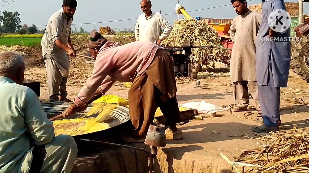 گڑ بنانے کا مکمل طریقہ 