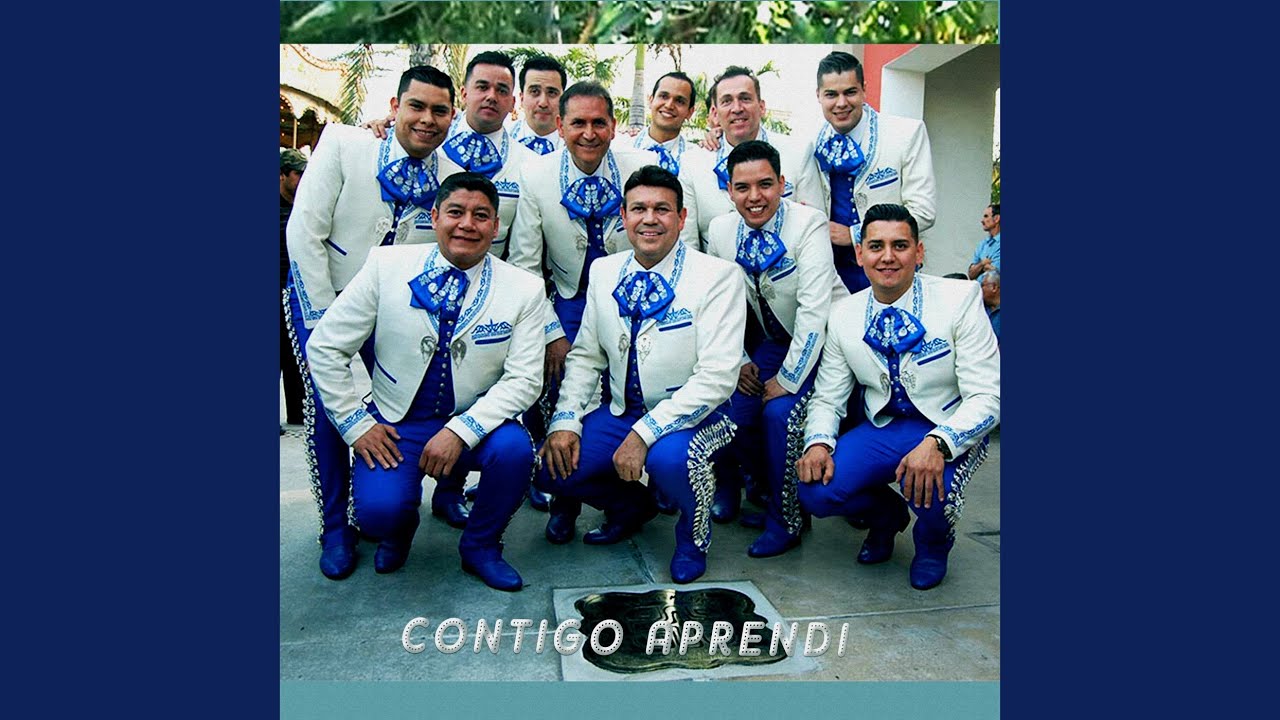 Contigo aprendi