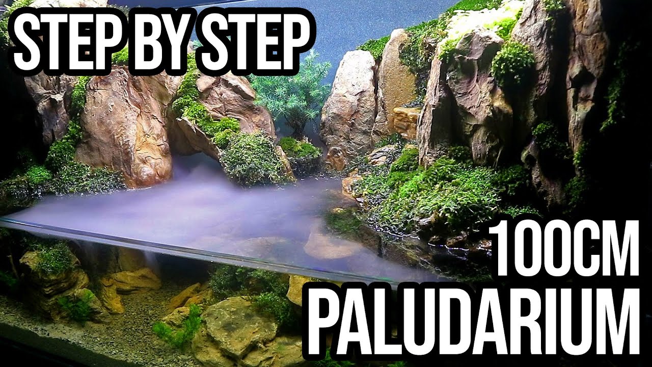 Step By Step Beautiful Paludarium 100cm