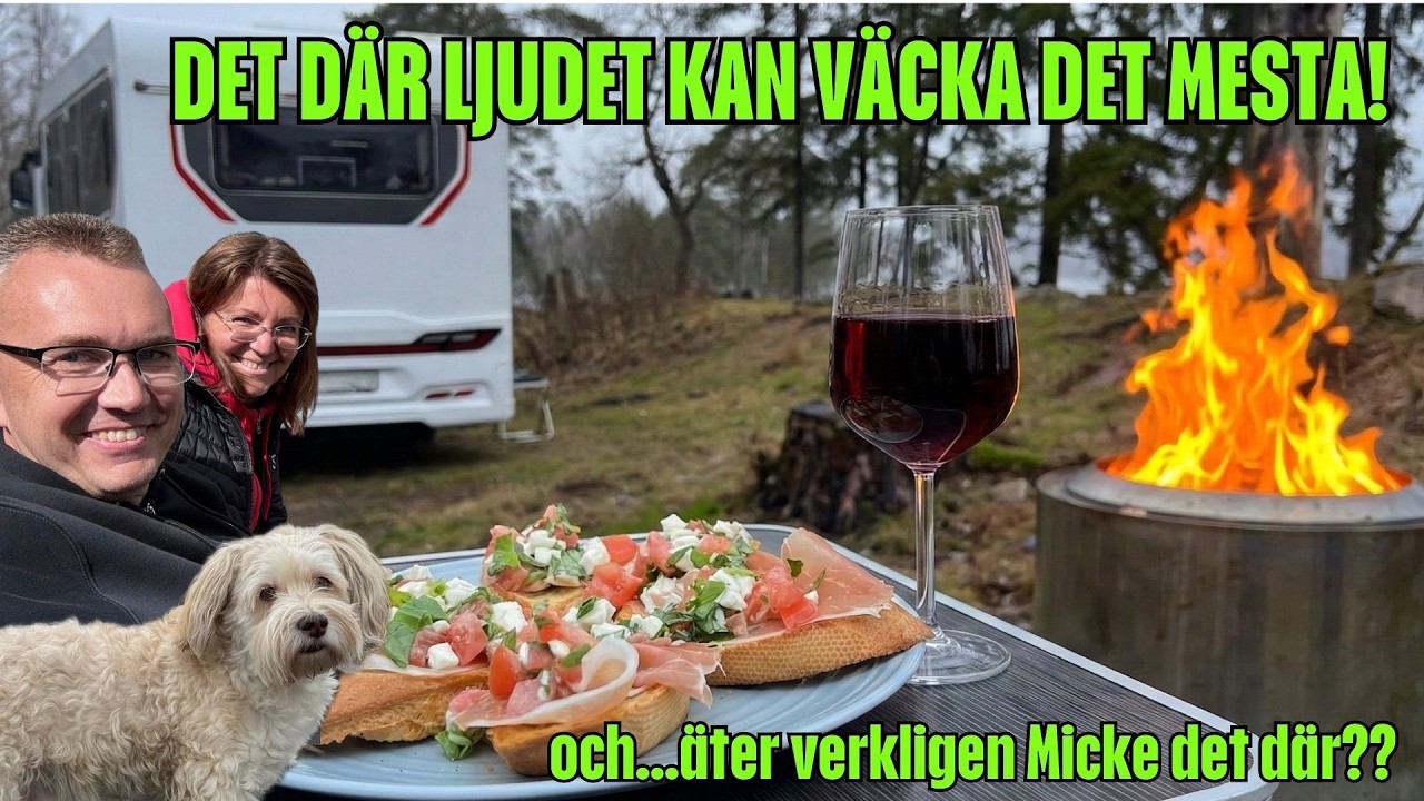 Äntligen fricamping med Nillas kök och Mickes nördhörna | varahusbilsresor.se