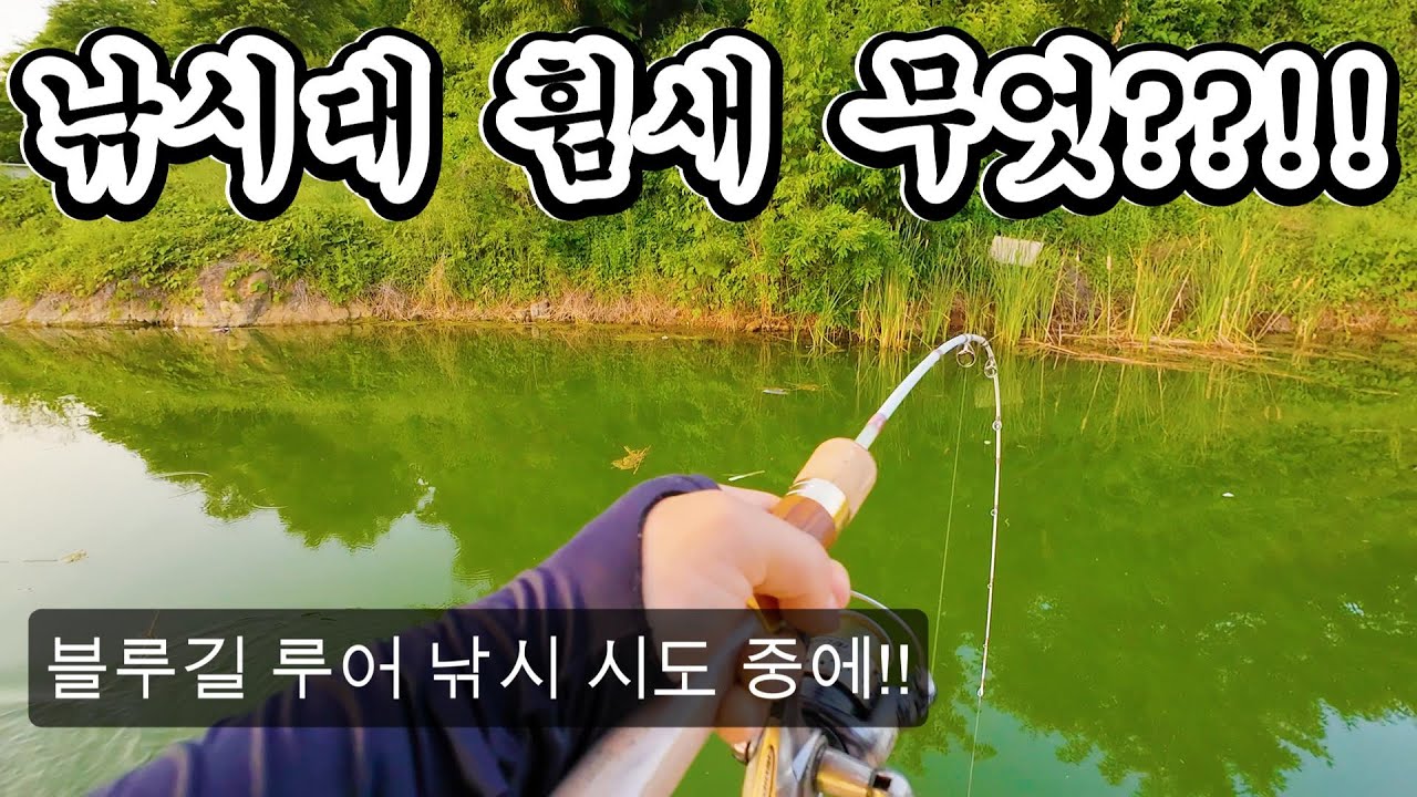 블루길 루어 낚시 시도!!     ㅣ배스ㅣ튀김ㅣ달월낚시터