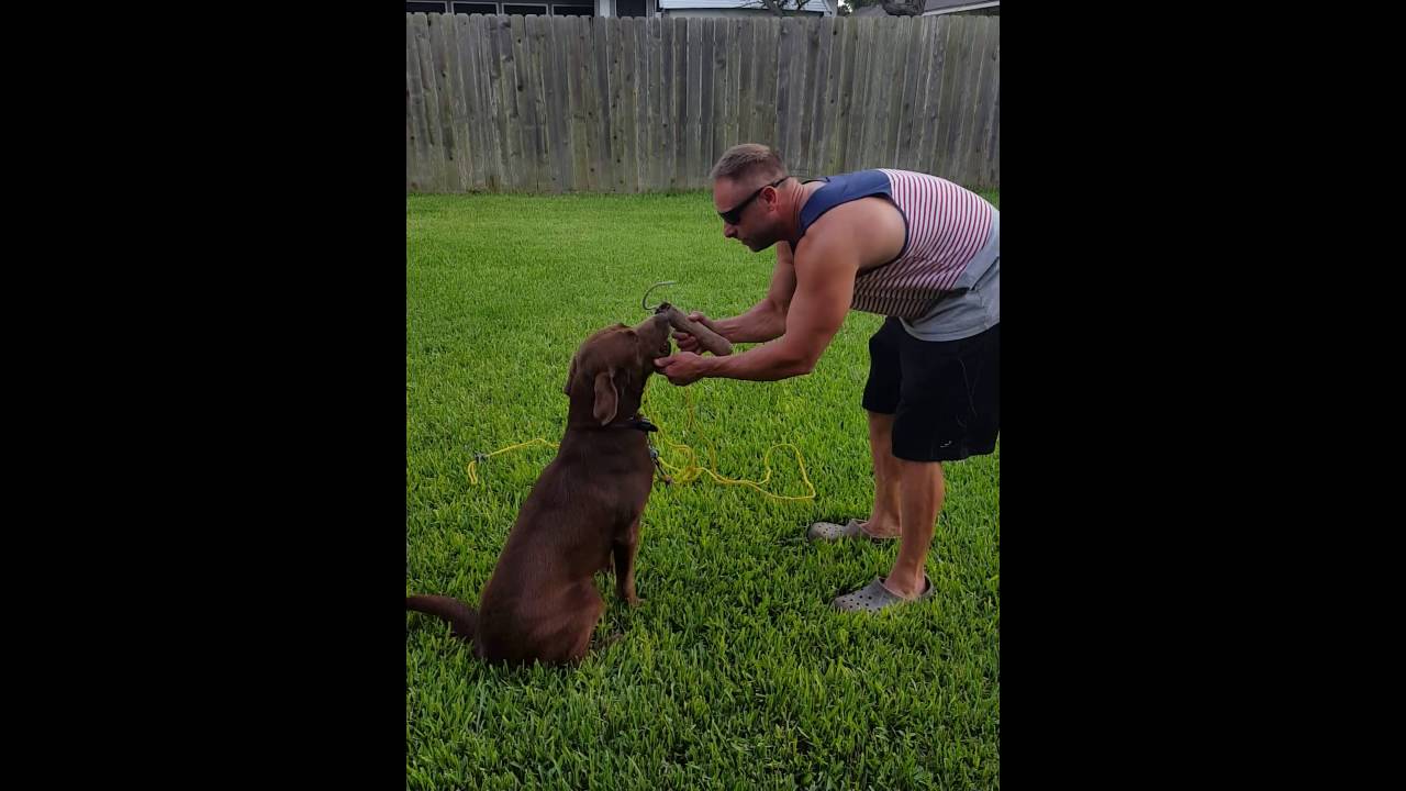 Colt force fetch 6/6/16