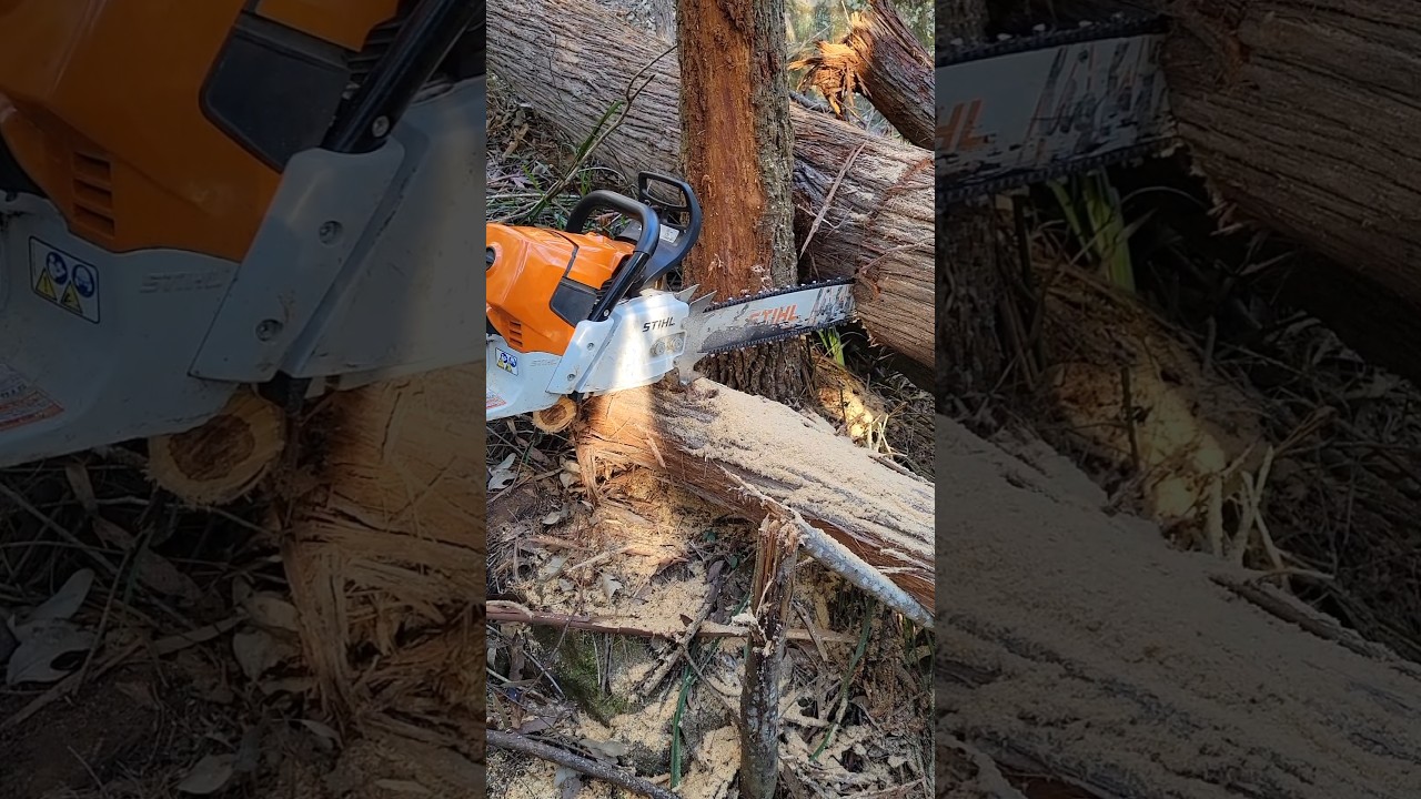 Flexing log, now I'm stuck! 