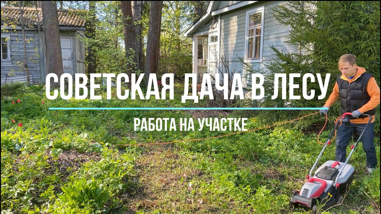 Работа на участке и знакомство с подписчиками. Советская дача в лесу Выпуск №2