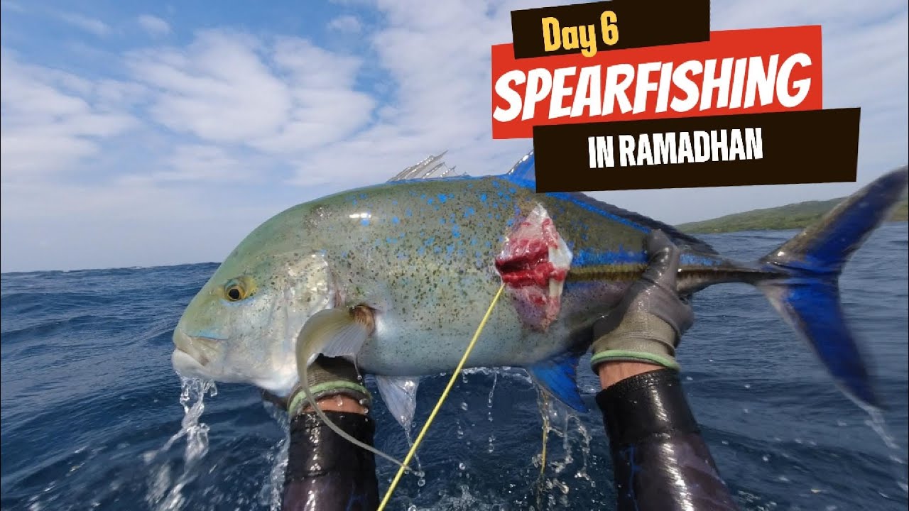 BERBURU IKAN /SPEARFISHING DI SPOT BEROMBAK, TERNYATA IKAN NYA LEBIH BANYAK