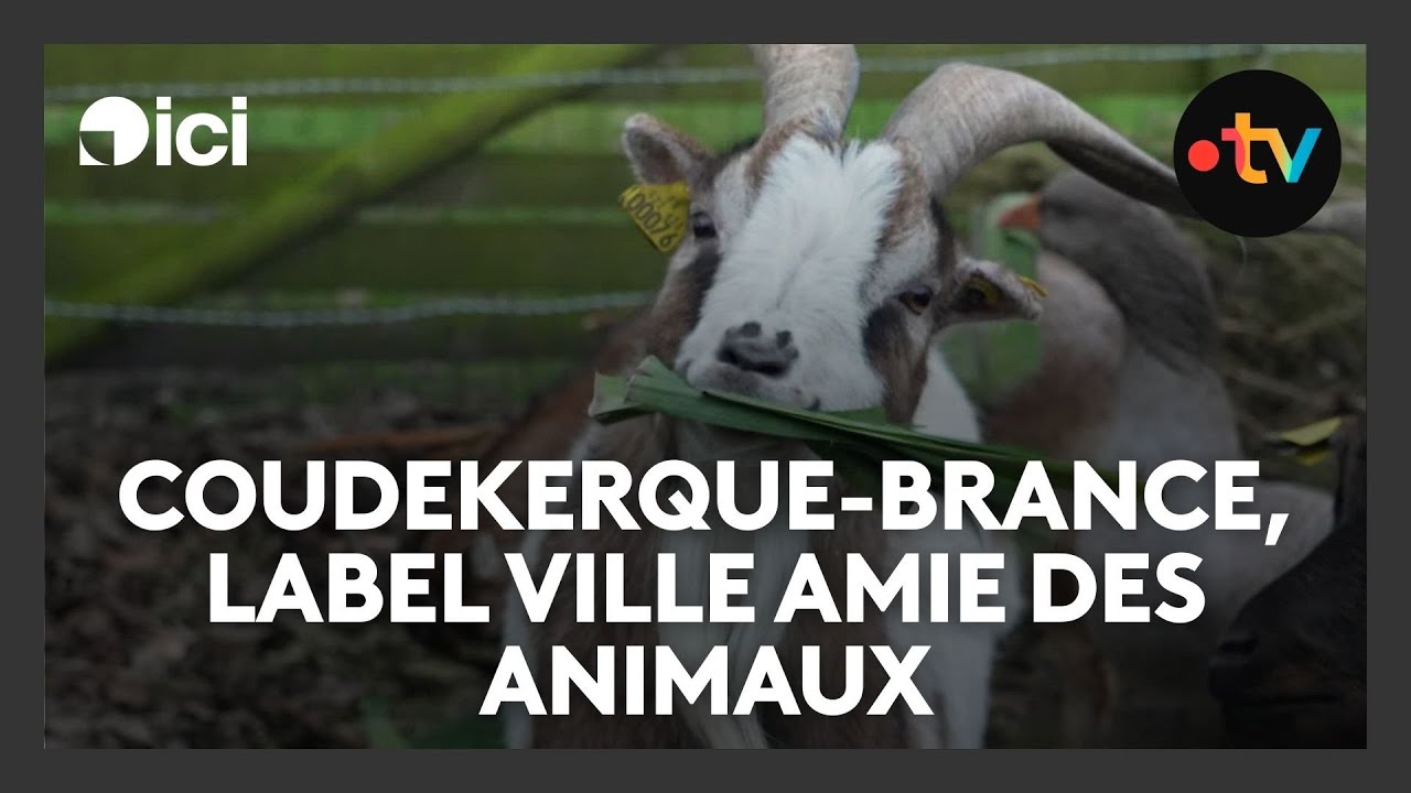 Cette ville a reçu le label Ville Amie des animaux