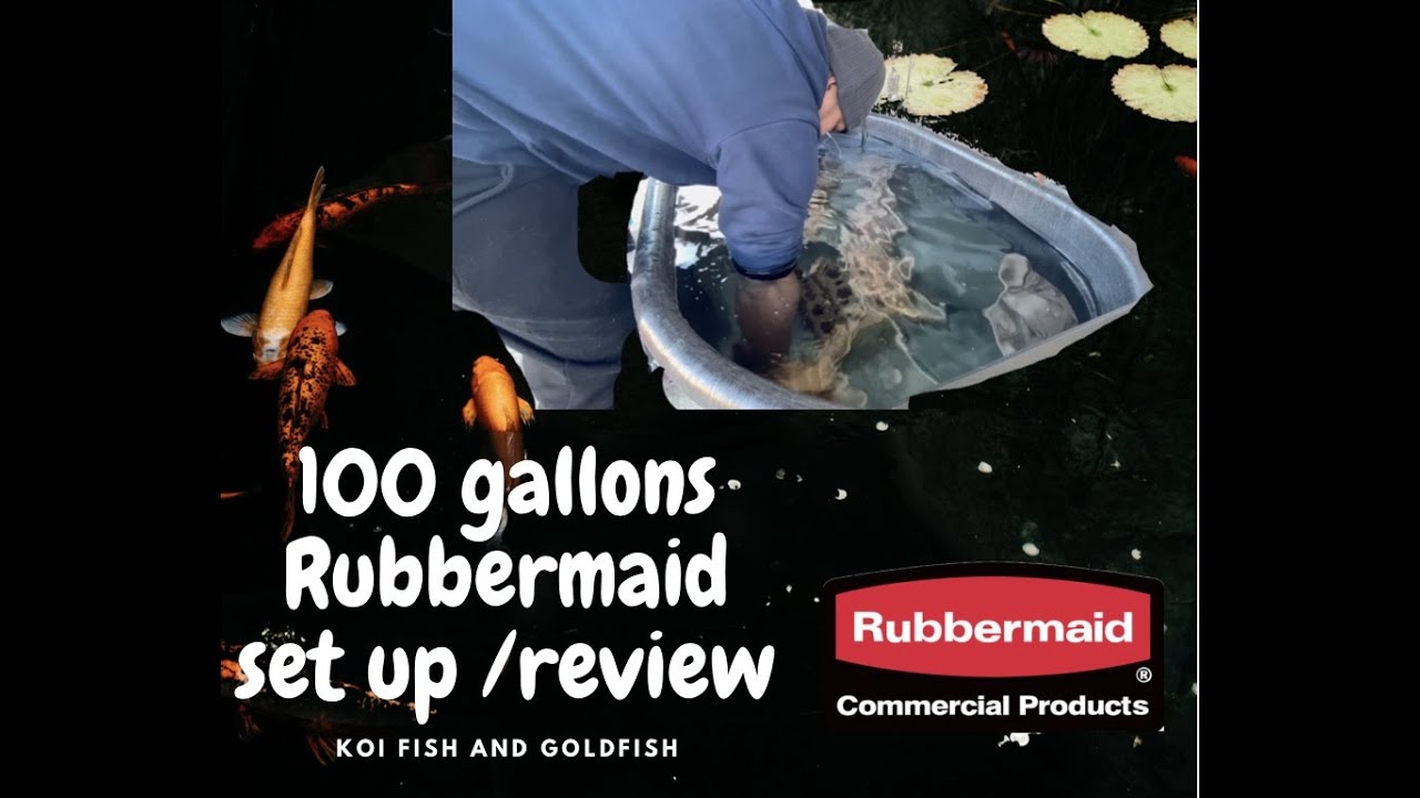 100 gallon Rubbermaid 378 liter stock tank setup review