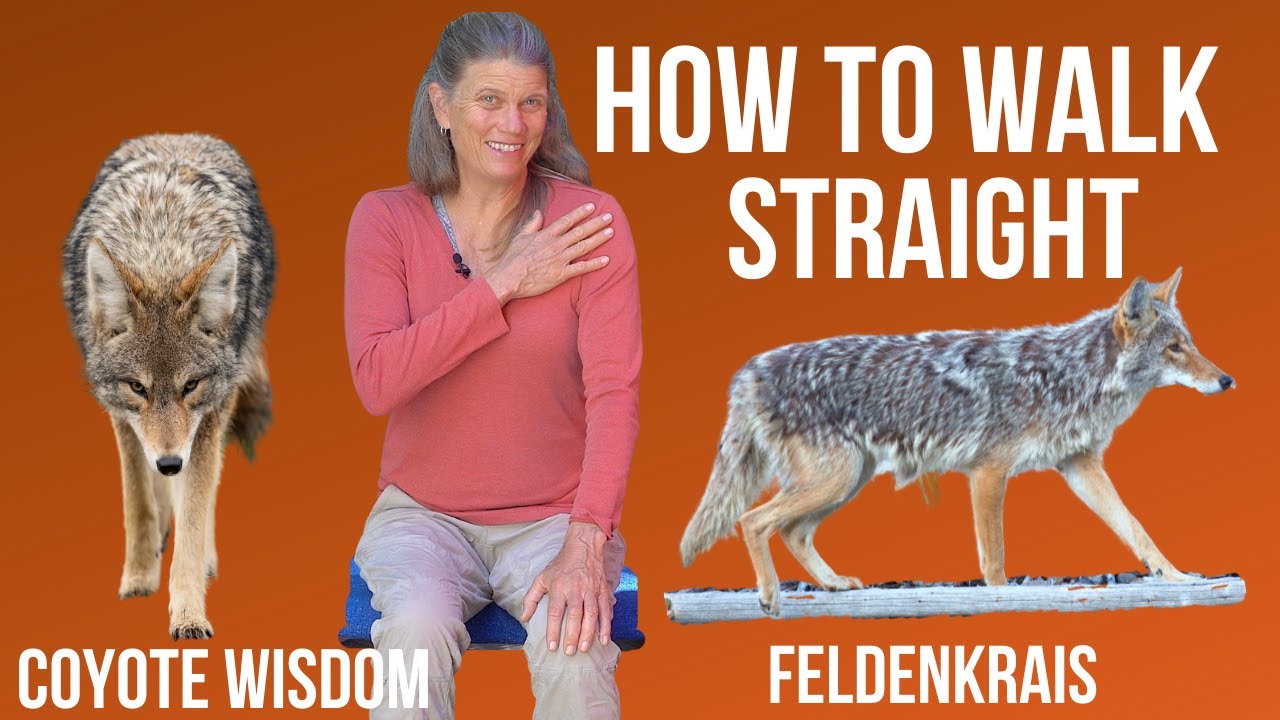 Feldenkrais Lesson to Walk Straight