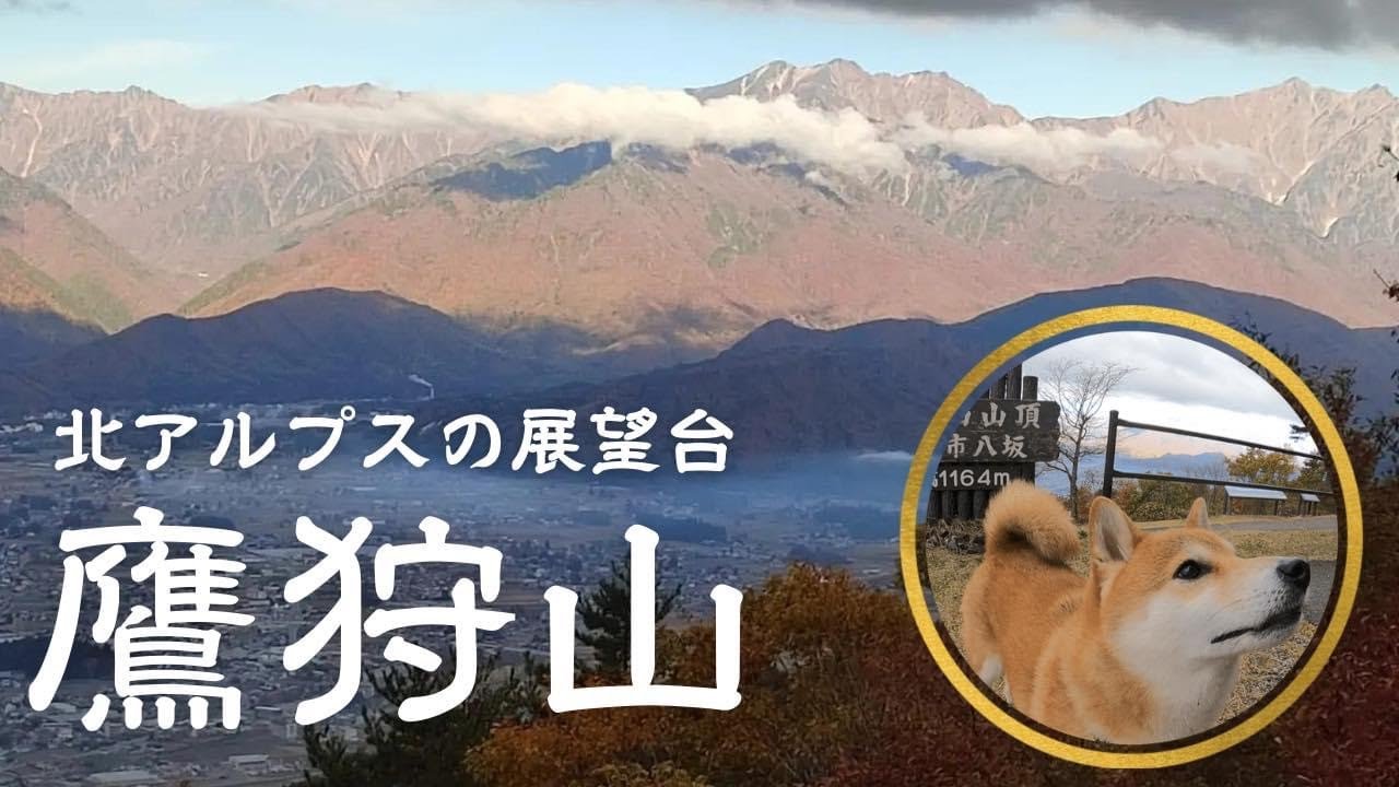 【柴犬こむぎと紅葉の鷹狩山と霊松寺ハイキング】車中ランチと信濃大町スイーツプロジェクト