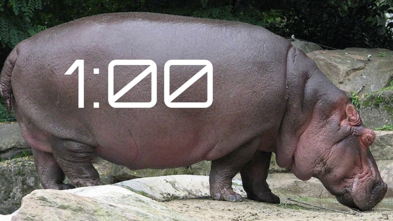 Colossal is Crazy - I Wanna Be The Boshy (#2) [Full VOD 07-10-2018]