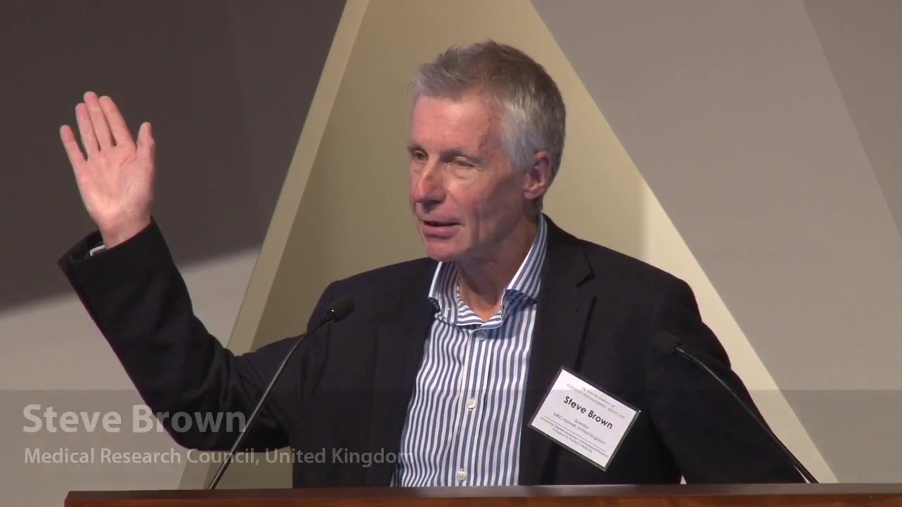 Steve Brown: Comprehensive phenotyping of the mouse genome