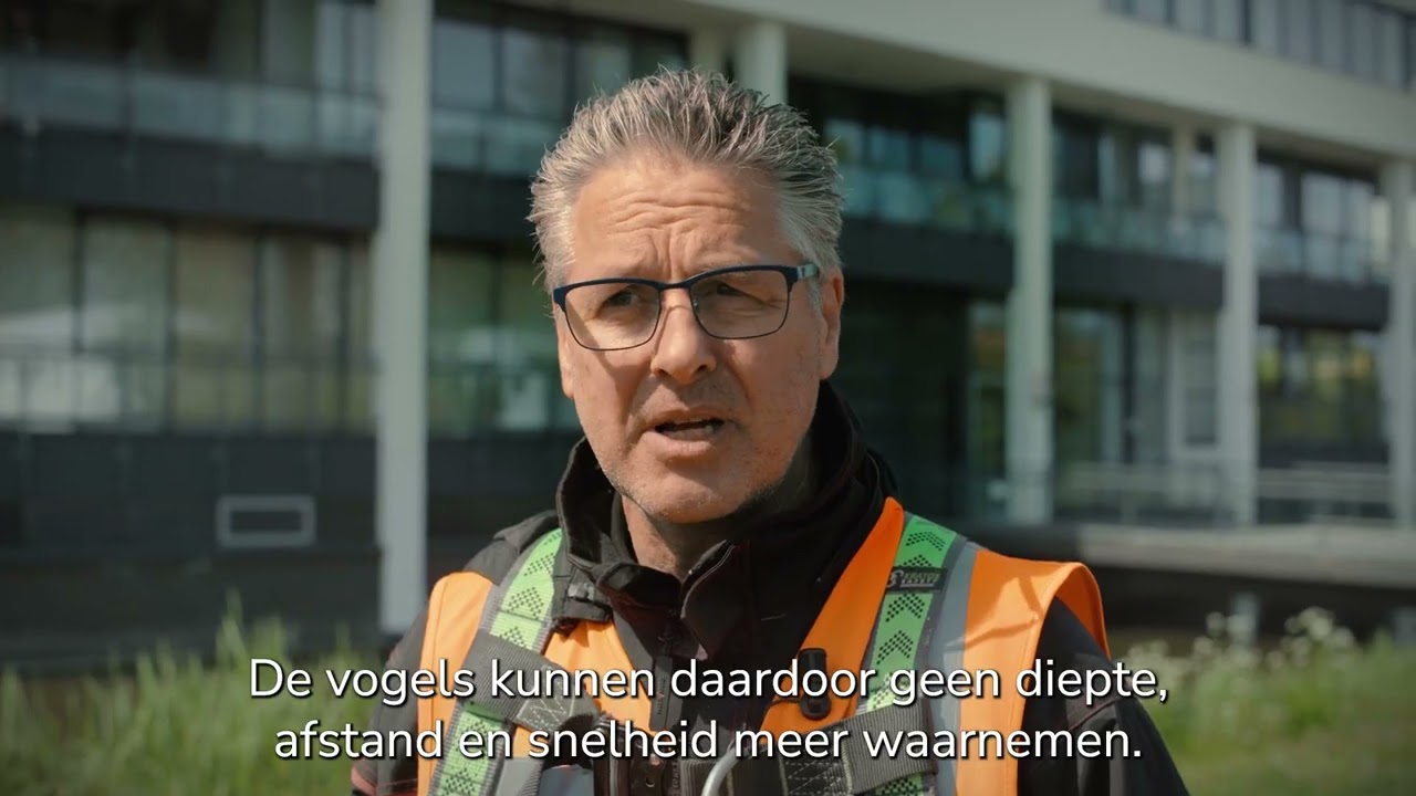 Meeuwen verjagen van uw dak