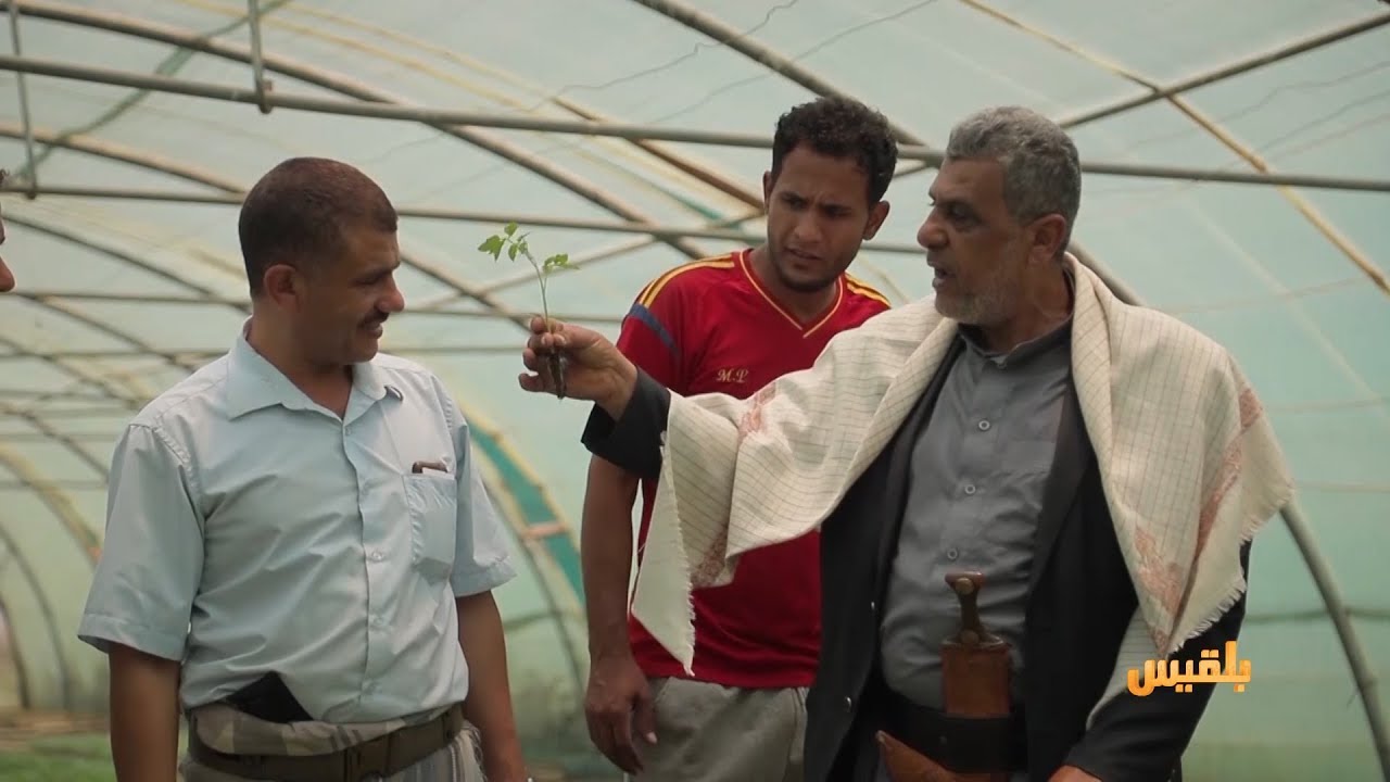 مشاريع كبيرة بأدوات بسيطة.. مشتل زراعي بتعز يوزع إنتاجه على محافظات الجمهورية