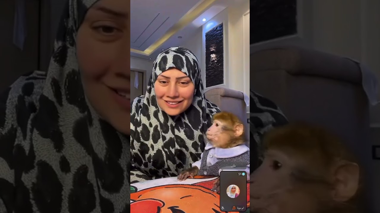 لايف يموت ضحك مع شاكيرا القردة😂😂🤣🤣