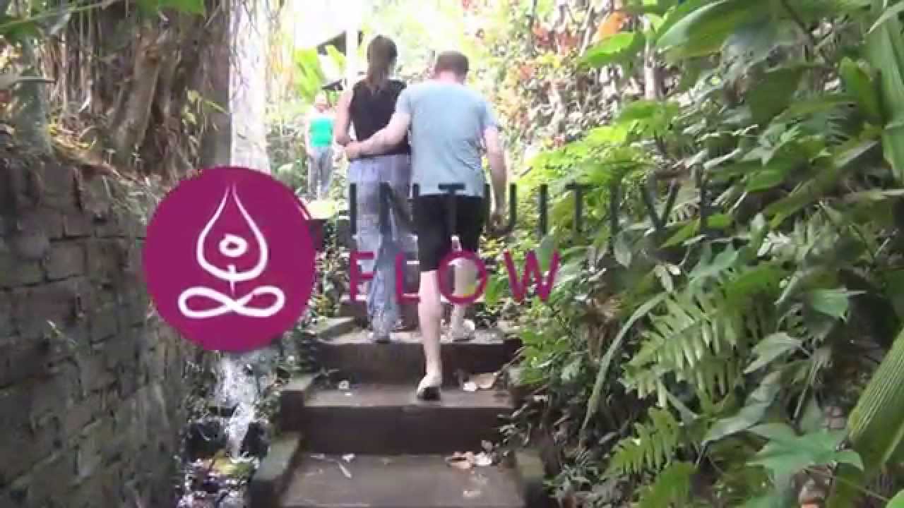 Intuitive Flow Yoga Studio