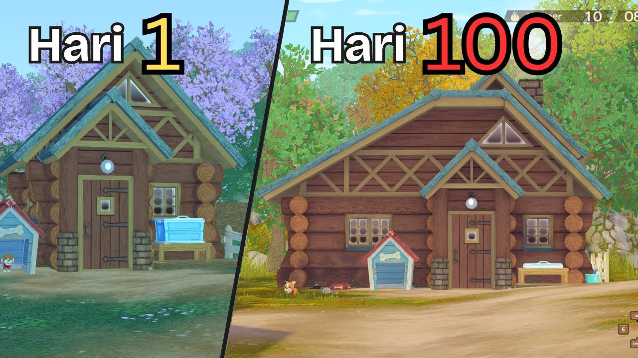 Aku main 100 hari di Story of Season - A Wonderful Life