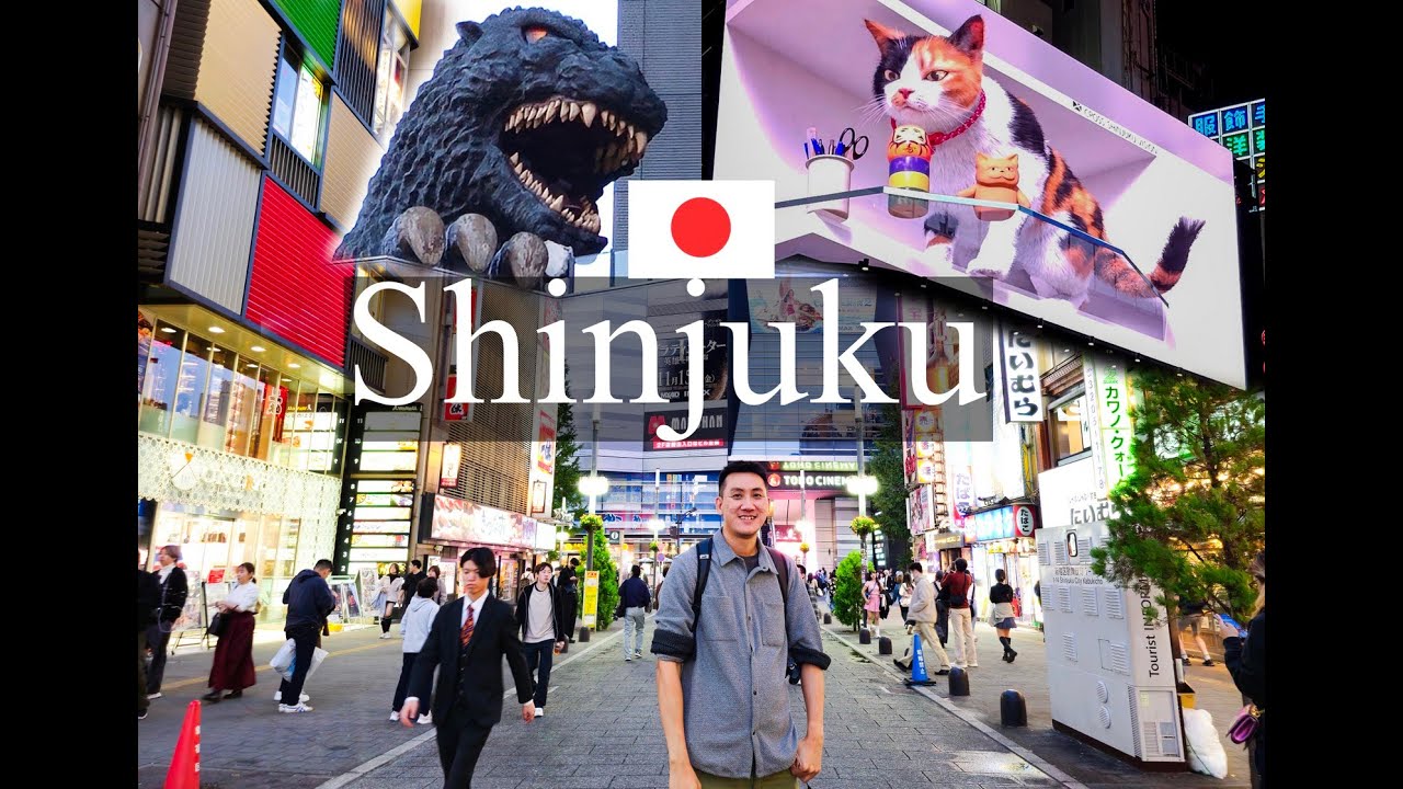 Japan Trip #6, Shinjuku Godzilla Head | 3D cat | Hanazono Shrine | Roppongi hills illumination
