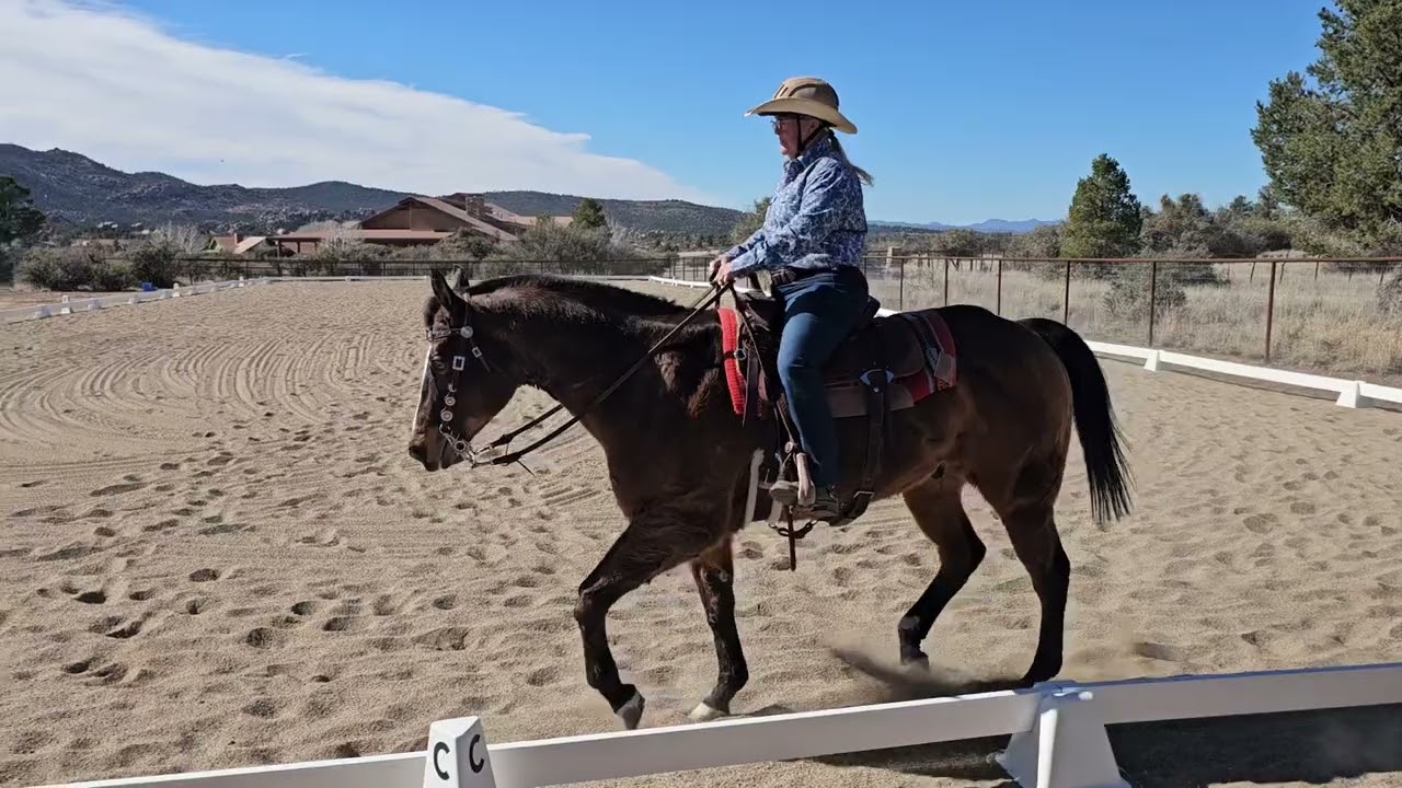 Buckles & Kim Basic Level - Test 1