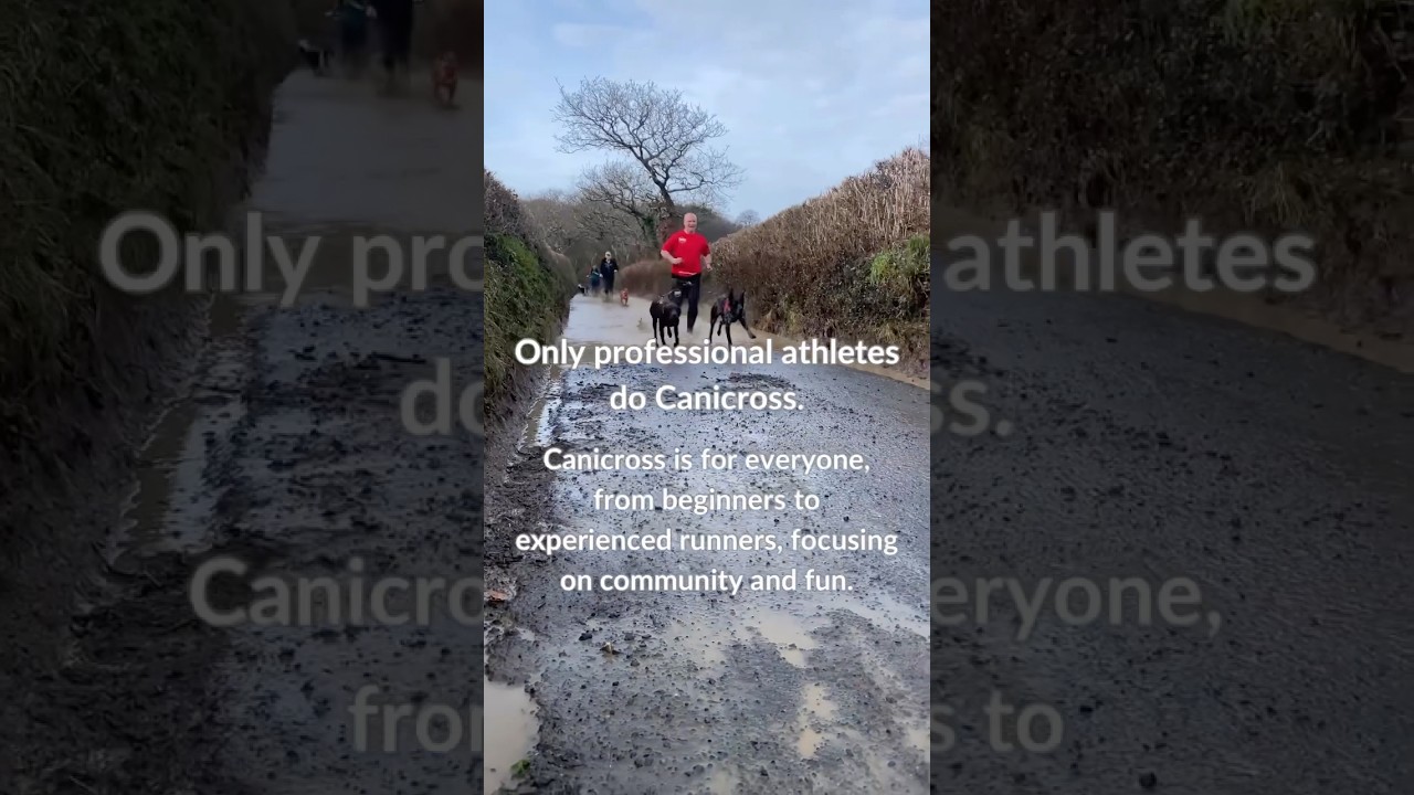 Canix Myths: Only professional athletes do Canicross ❌ Casual jogs to race days, that&rsquo;s Canicross