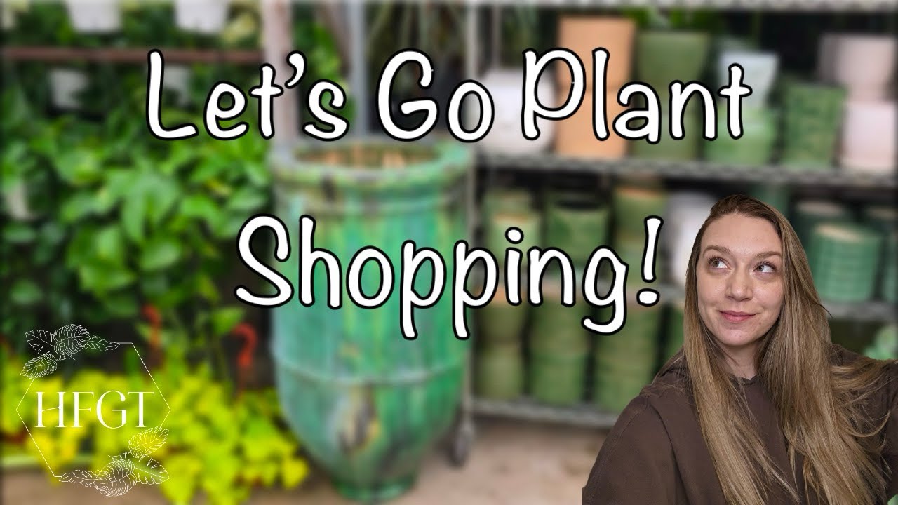 Come plant shopping with me to 3 different greenhouses around the city! 🌵