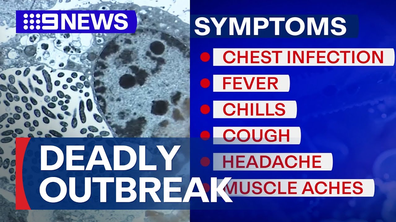 Melbourne's Legionnaires' outbreak turns deadly | 9 News Australia