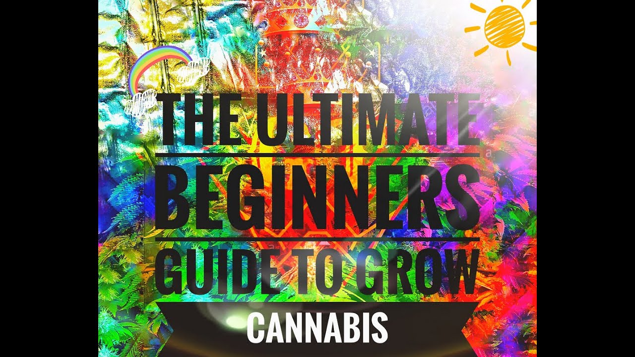 The Complete Beginners Guide to Growing Cannabis From Seed to Harvest With LEDs