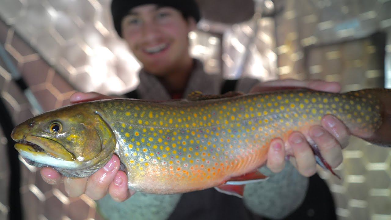 Ice Fishing GIANT BROOKE TROUT in CRYSTAL CLEAR WATER!