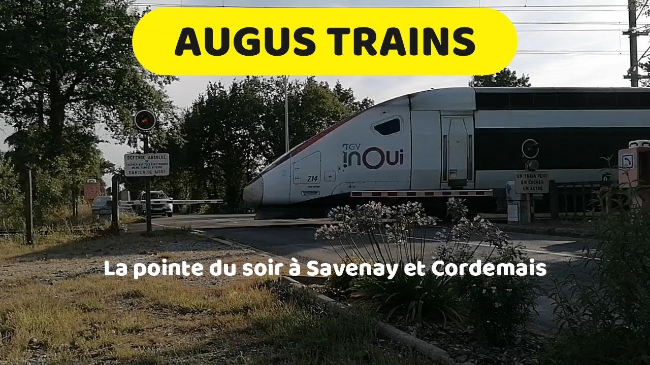 La pointe du soir à Savenay et Cordemais