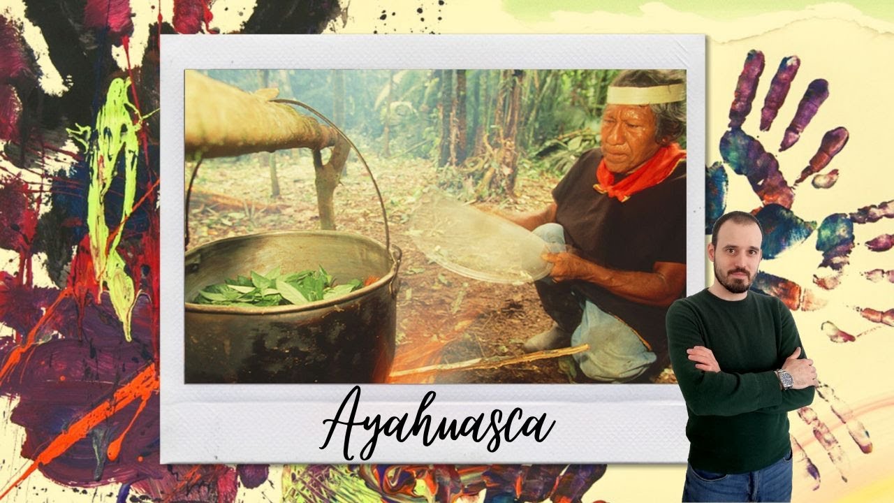 Ayahuasca: strumento trasformativo o droga allucinogena?