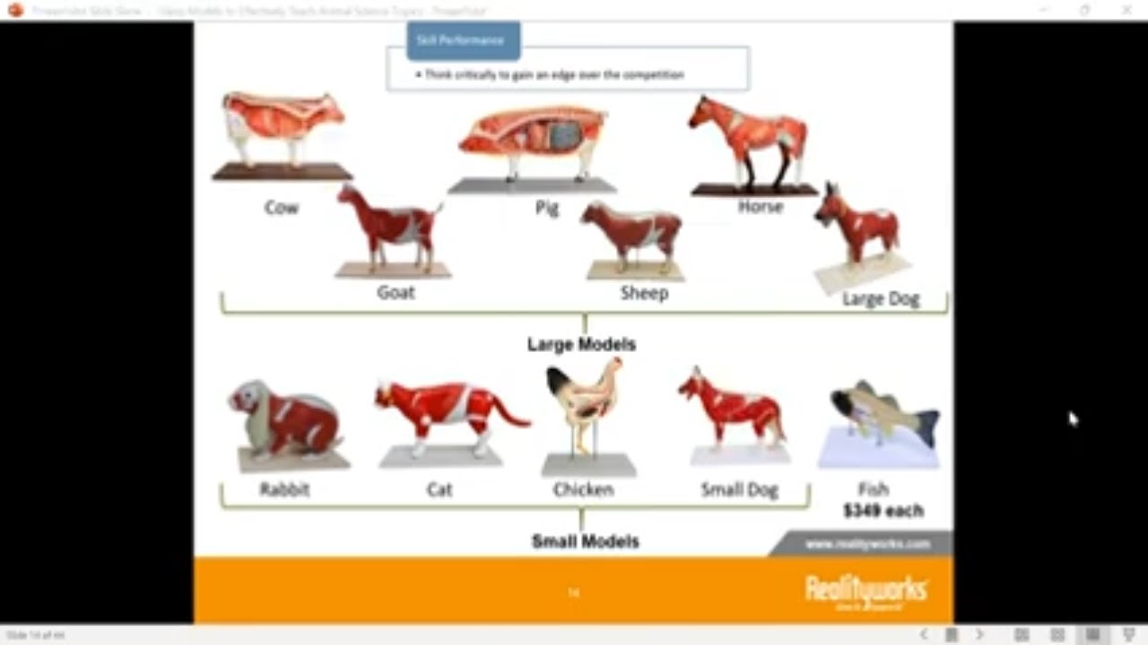 Using Models to Effectively Teach Animal Science Topics
