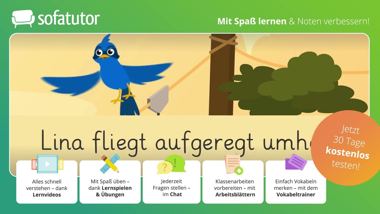 Das mehrteilige Prädikat – einfach erklärt!