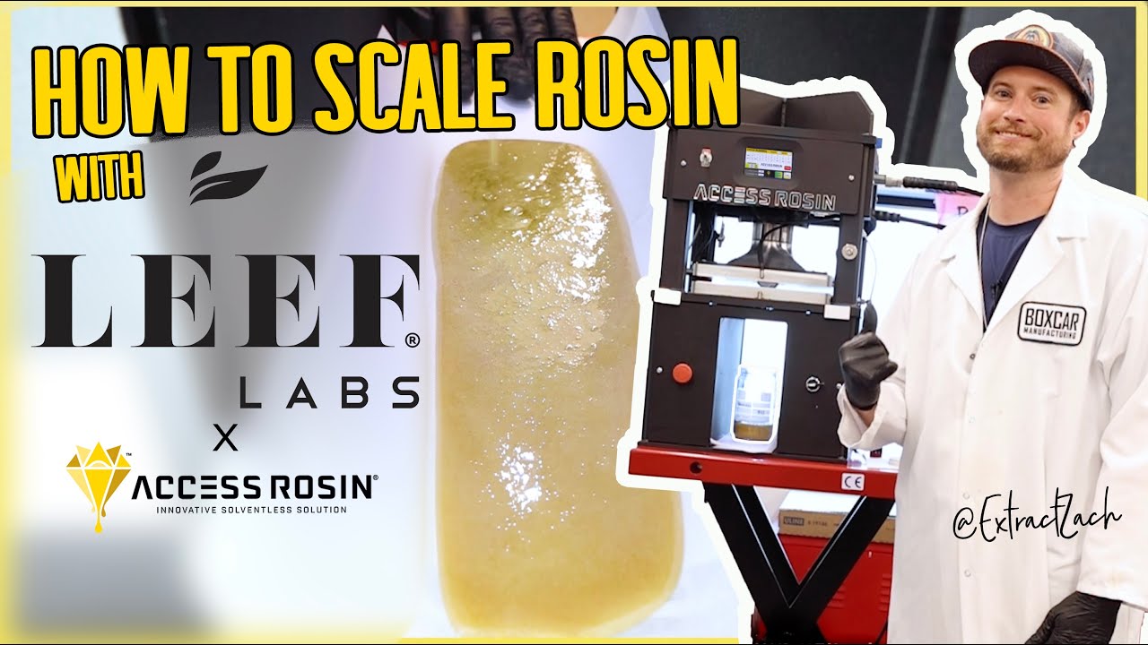 How To SCALE ROSIN with LEEF LABS x ACCESS ROSIN