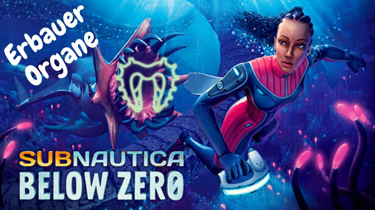 Subnautica Below Zero - Erbauer Organe finden