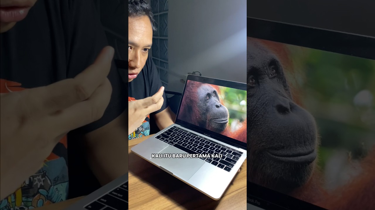 Bikin Nangis‼️Orang Utan yang Difoto Yusuf Priambodo #ResetIndonesia