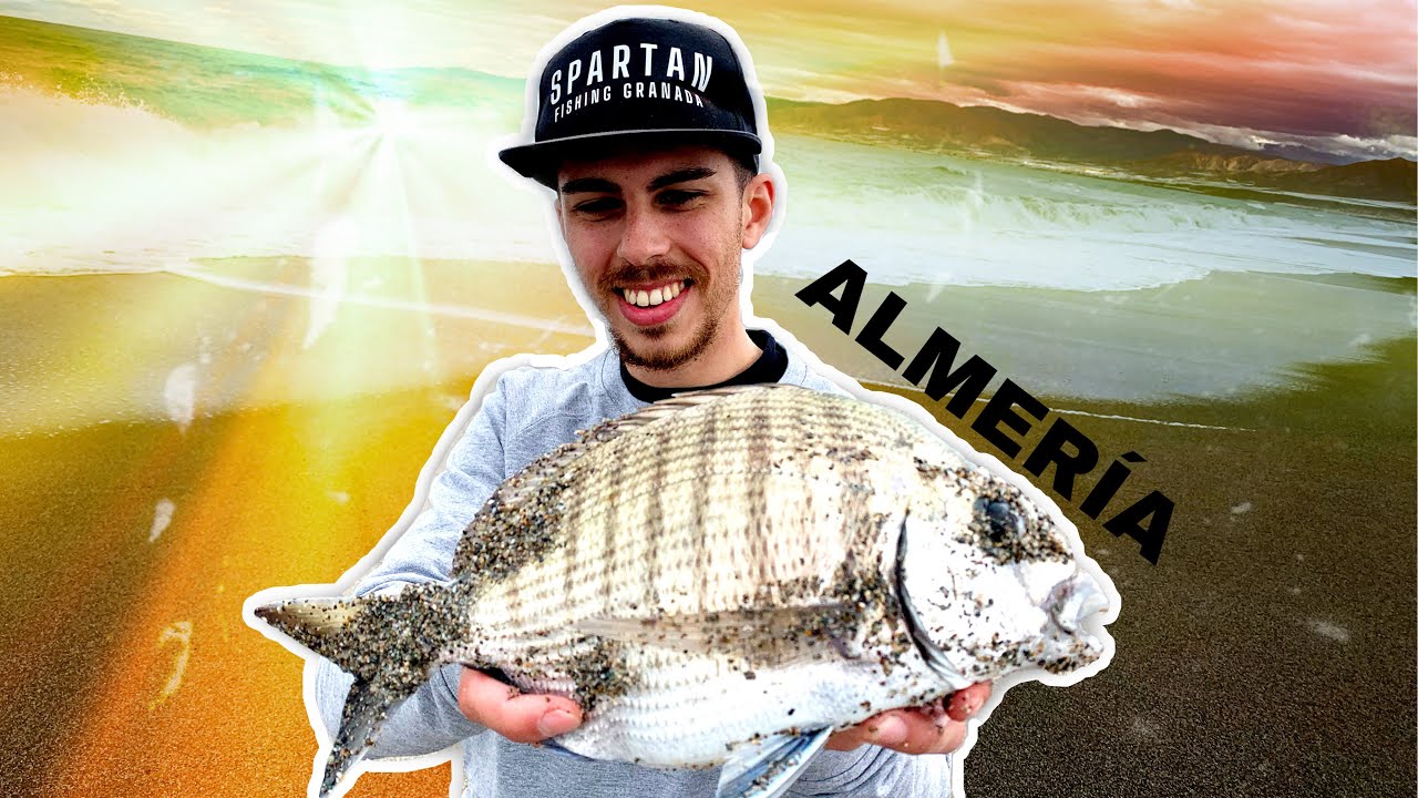 Grandes SARGOS en TEMPORAL | Surfcasting en Almería