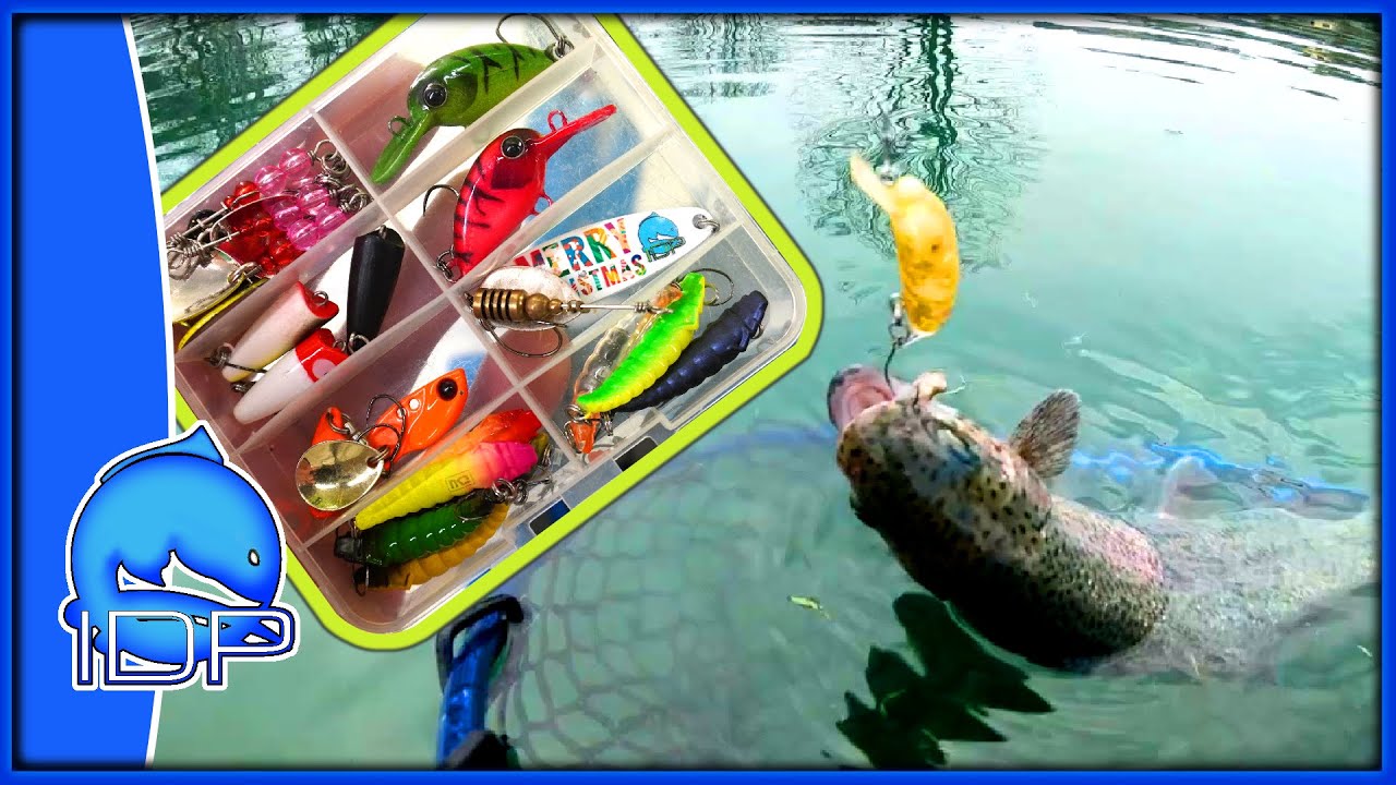 Esche ASSURDE VS Esche TROUT AREA - QUALI sono le MIGLIORI?