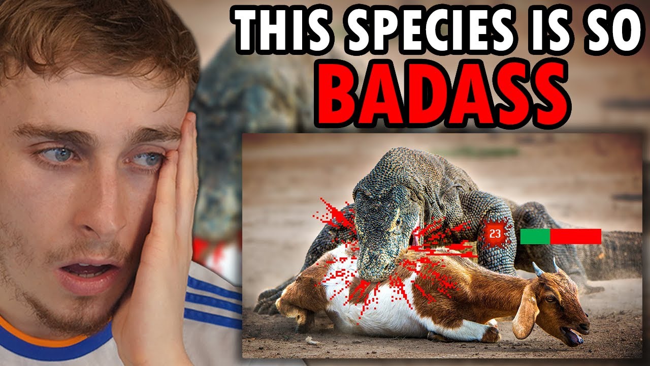 Reacting to TierZoo - The Lizard Tier List