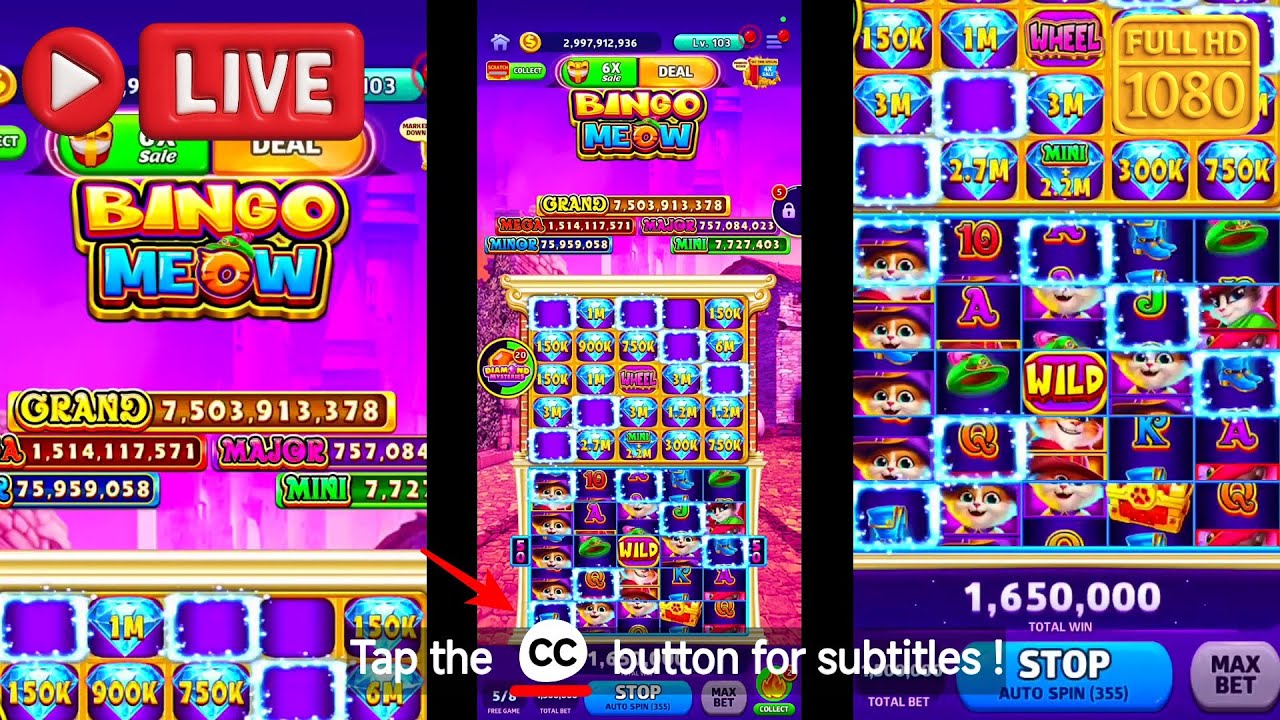 Cash Frenzy How To Cash Out USA | Reward Framing (Friction) | Bingo Meow