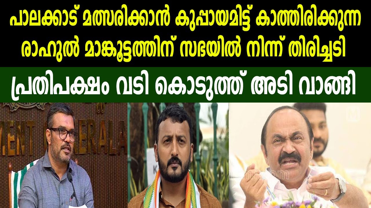 പാലക്കാട് മത്സരിക്കാൻ കുപ്പായമിട്ട് കാത്തിരിക്കുന്ന |രാഹുൽ മാങ്കൂട്ടത്തിന് സഭയിൽ നിന്ന് തിരിച്ചടി |