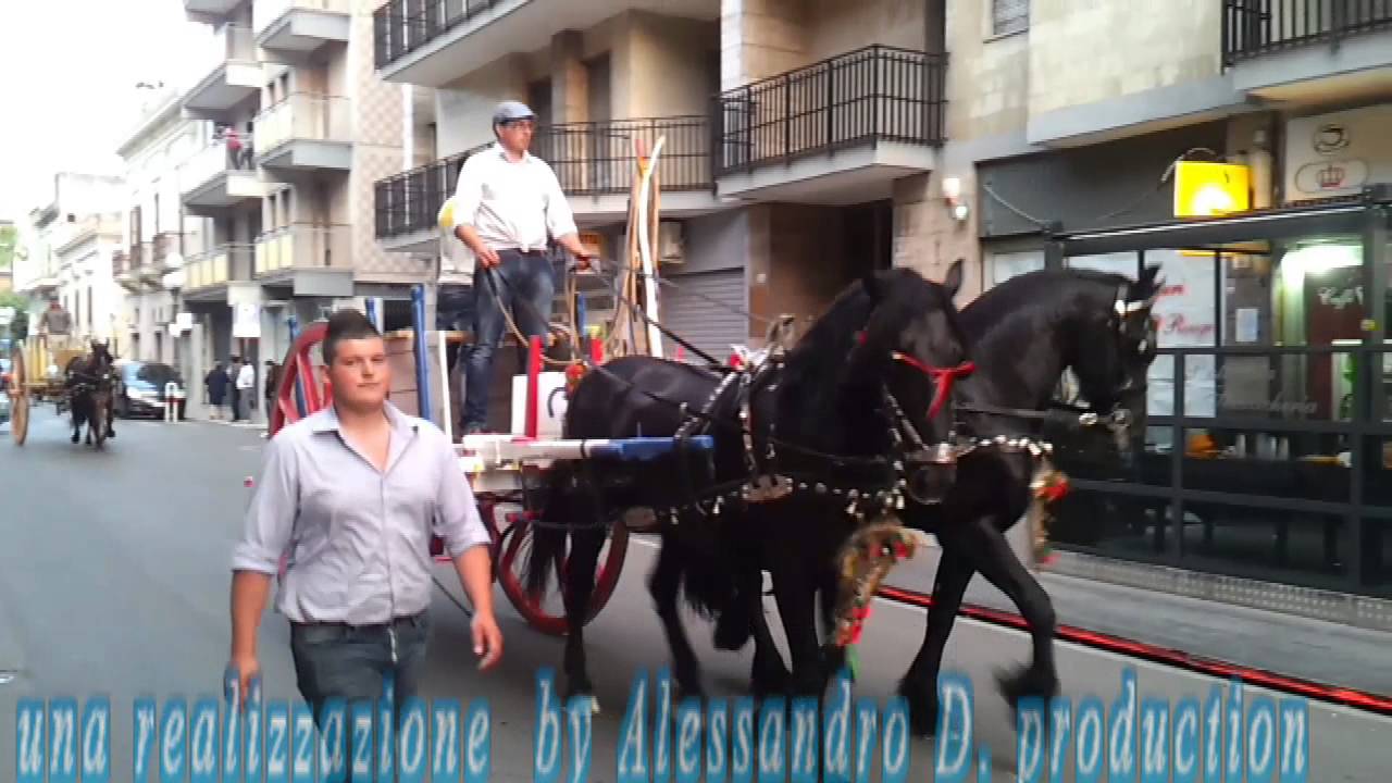 Massafra 5° raduno equestre di attacchi a carrozze d'epoca 2013