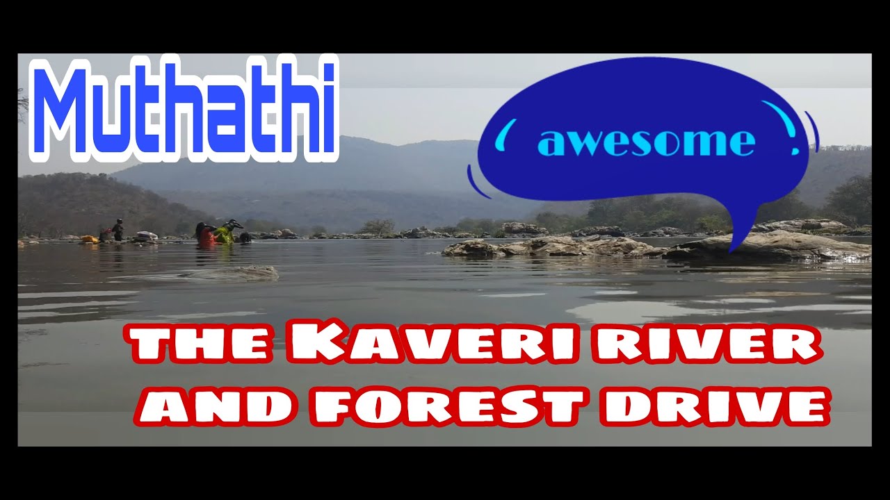 Muthathi trip|Cauvery Drive|family picnic spot|Bangalore|February forest drive|Ghat road ముతతి