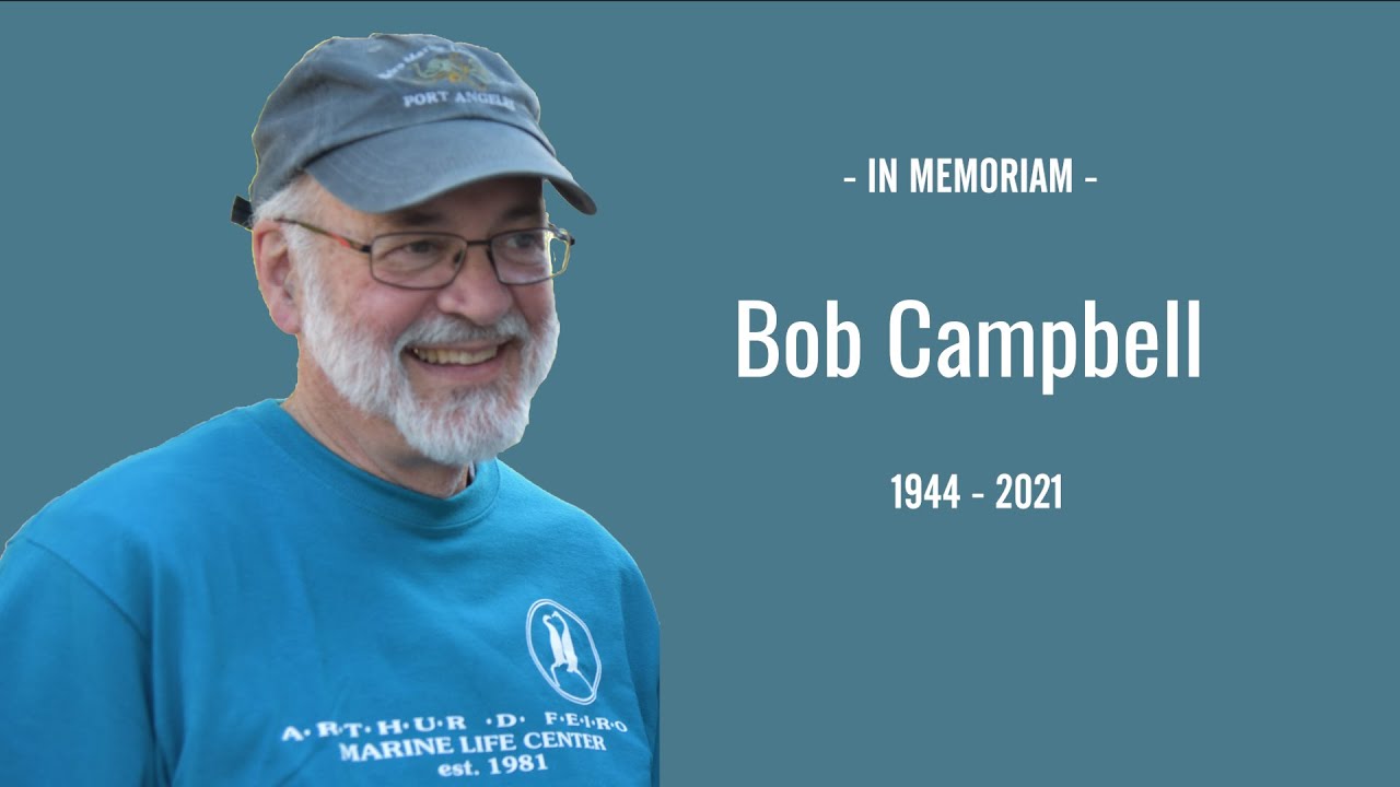 Bob Campbell memoriam