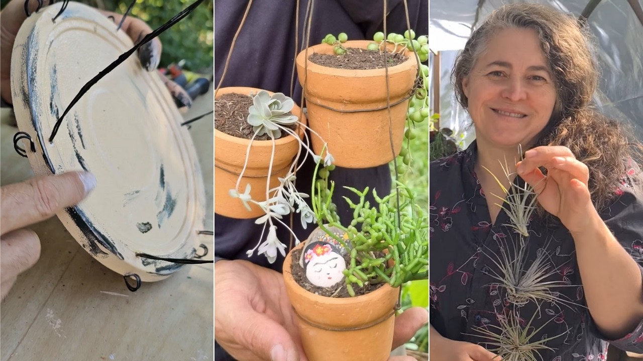 3 Ideias Incríveis com Arame: Suporte para Plantas, Tillandsias e Suculentas - DIY Passo a Passo