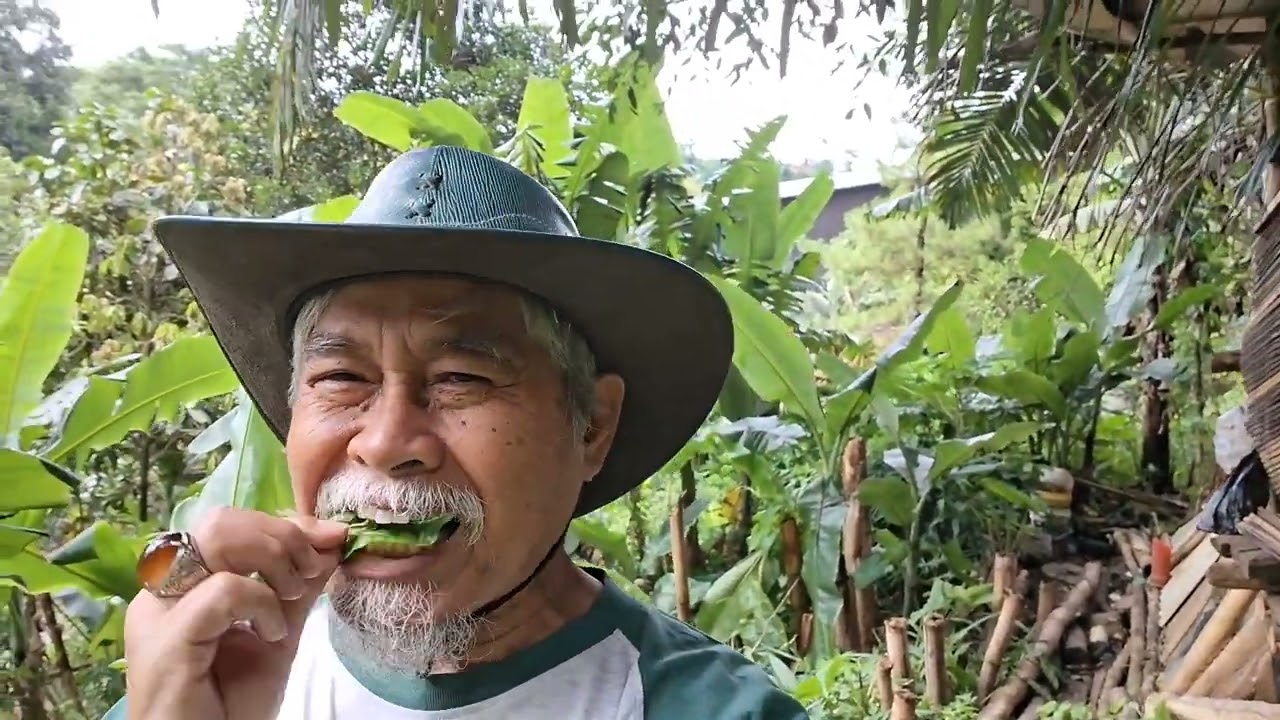Banyak menemukan siput di kolm hutan da lalaban pohpohan liar di bawah pohon berhantu #dago #bandung