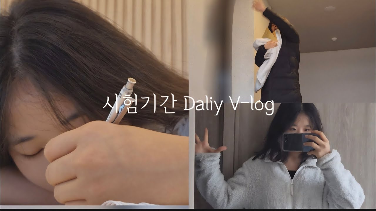 정말 아무것도 없는 시험기간 브이로그....🍀💯 | 12년생 | 기말고사 | 브이로그 | 학교 | 눈와요...❄️